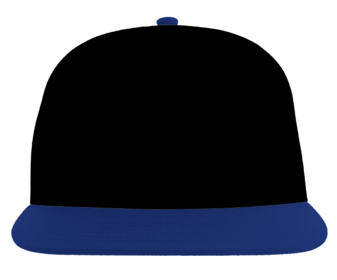 Black and Bright Royal